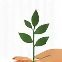 Icona che rappresenta la sostenibilità dei risultati con una pianta che cresce da una mano.